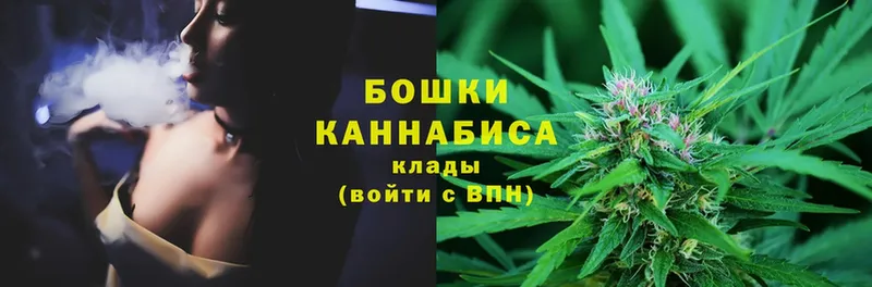 Бошки Шишки VHQ  Куртамыш 